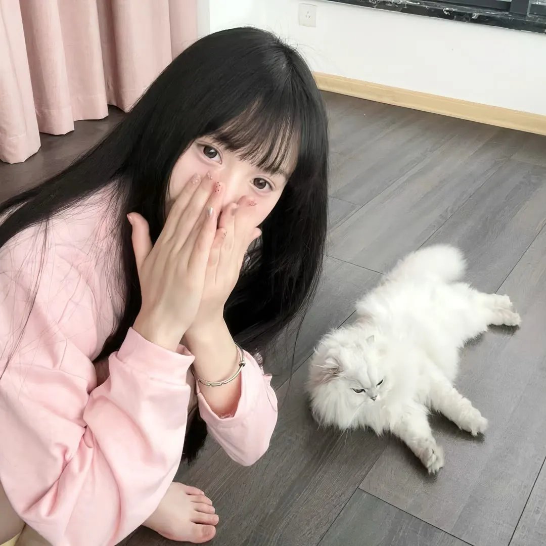 无敌猛鲨
